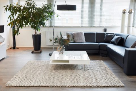 Гостиная. Шерстяной ковер